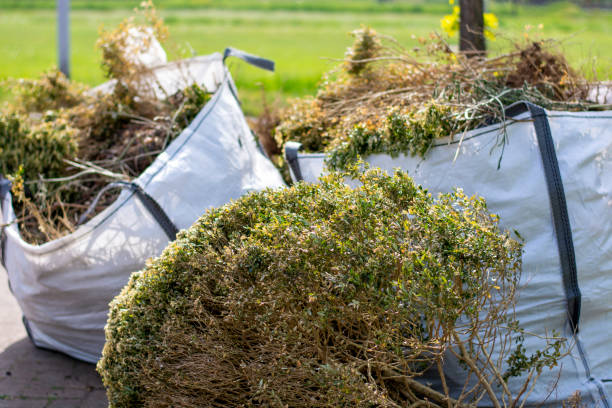 Best Household Junk Removal  in Lyndon, KS